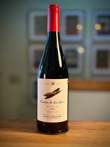 Finca Millara, Cuesta de los Olivos Mencia, Ribeira Sacra 2021