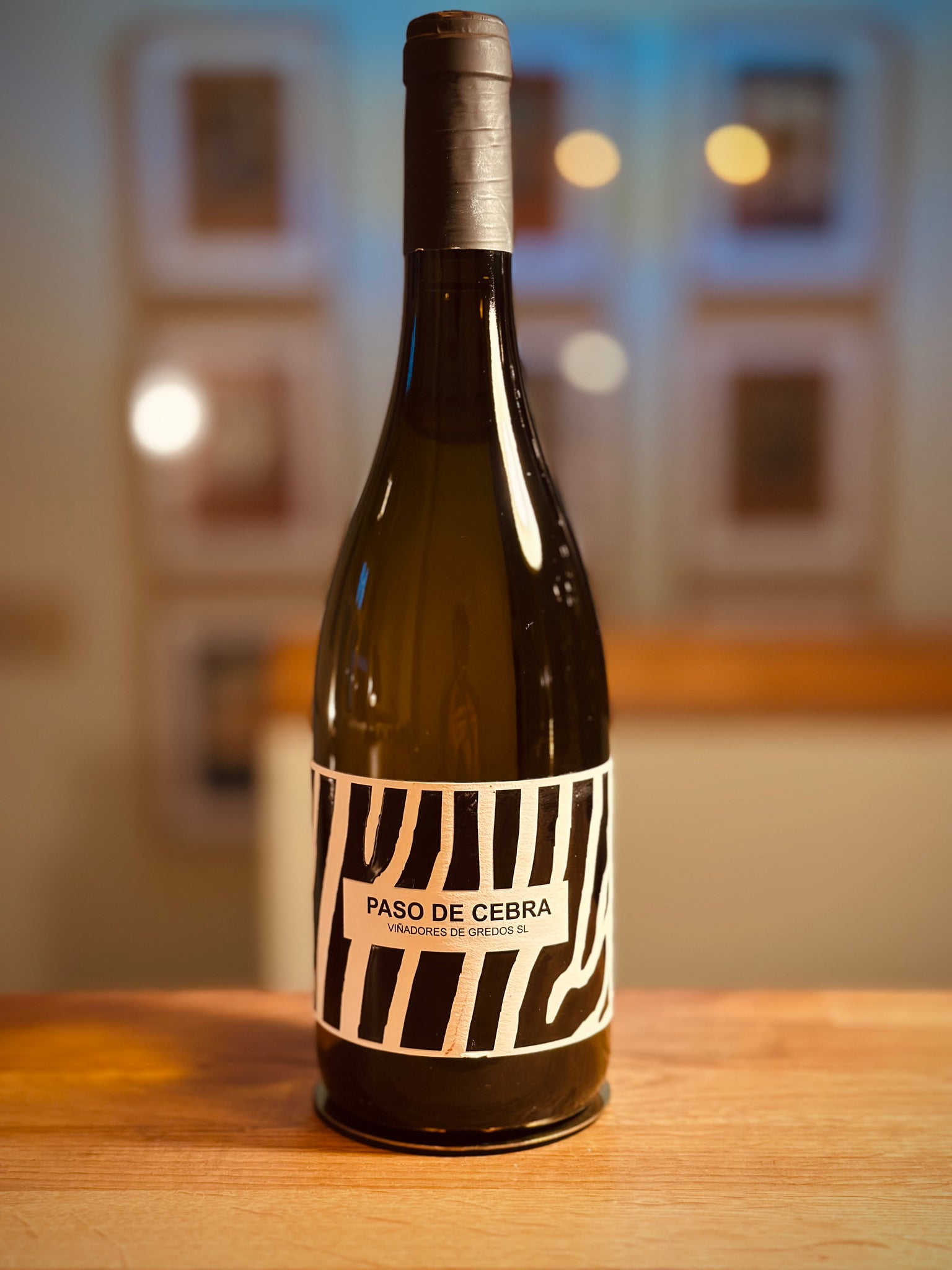 Vinadores de Gredos, Paso de Cebra, 2019