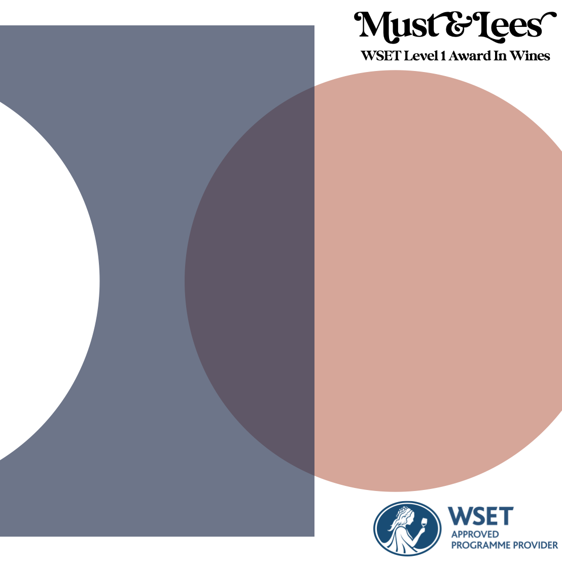 ISLINGTON: WSET Level 1 Award in Wines - 1 Day Course 7th June